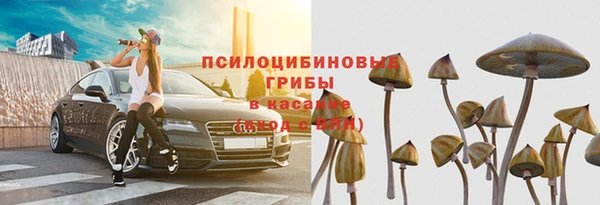 mdpv Богданович