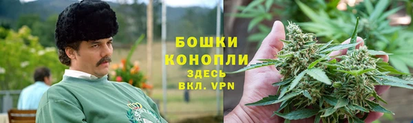 ПСИЛОЦИБИНОВЫЕ ГРИБЫ Белокуриха